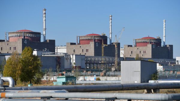 Энергоблоки Запорожской АЭС в Энергодаре. Архивное фото