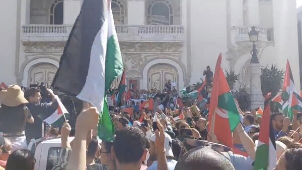 Шествие в поддержку палестинского народа в столице Туниса. Кадр видео