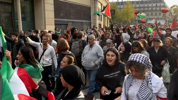 Массовый митинг в Париже в поддержку Палестины