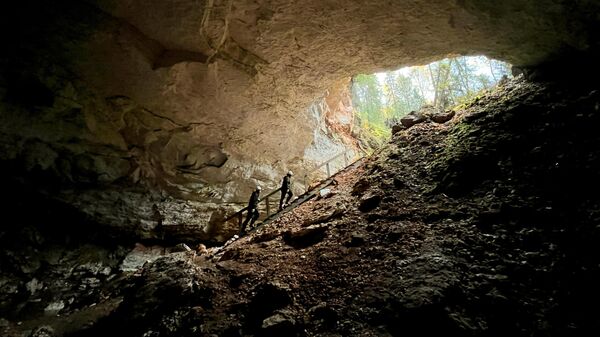 Посетители поднимаются по лестнице из пещеры Певческая эстрада, в Пинежском районе Архангельской области