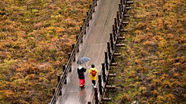 Экскурсовод с посетителем идут по деревянному мосту в музее-заповеднике Малые Корелы в Архангельской области