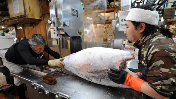 Работники рынка в Токио разделывают замороженную рыбу