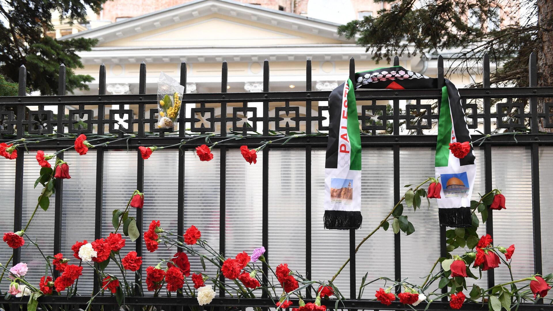 Цветы у здания посольства Палестины в Москве в память о погибших в ходе палестино-израильского конфликта. 18 октября 2023 - РИА Новости, 1920, 18.10.2023