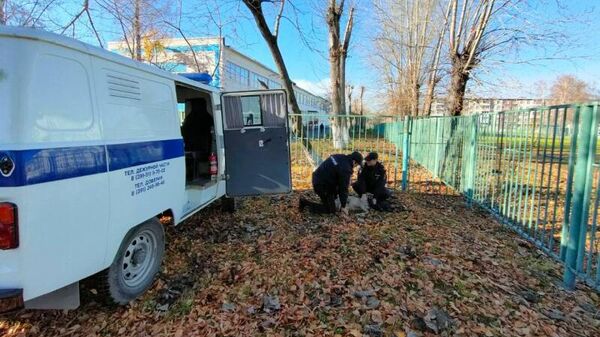 Полицейские в Ачинске на западе Красноярского края доставили раненую косулю в ветеринарную клинику