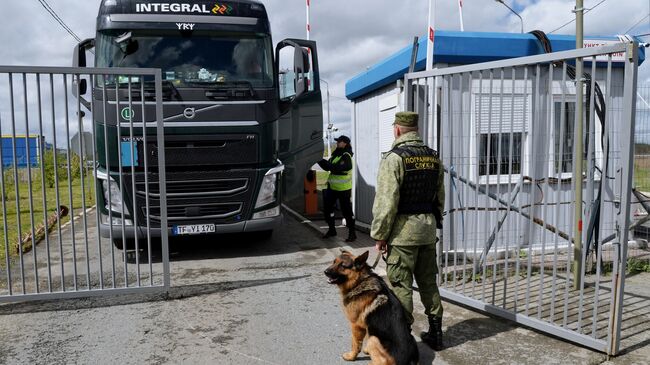 Досмотр грузового автомобиля на многостороннем автомобильном пункте пропуска Бугристое на российско-казахстанской границе