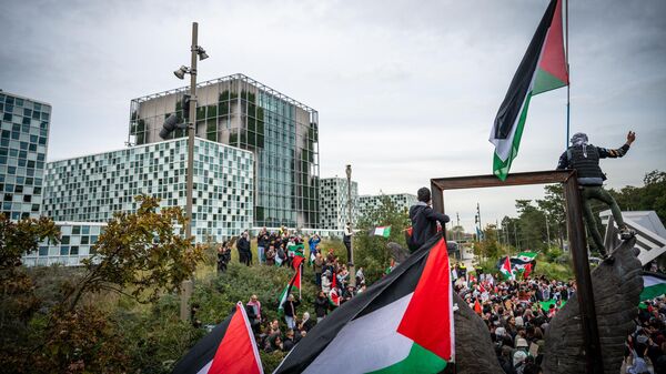 Митинг в поддержку Палестины у здания МУС в Гааге, Нидерланды