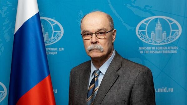 Директор консульского департамента МИД России Алексей Климов