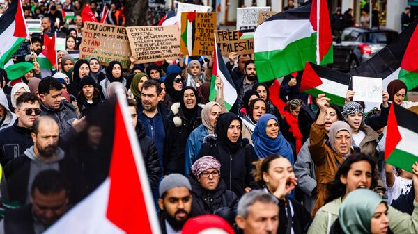 Протестующие во время митинга в знак солидарности с палестинским народом в Гааге