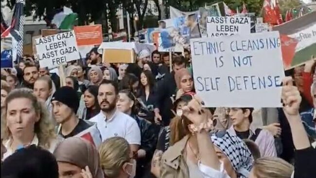 Пропалестинский митинг в Вене