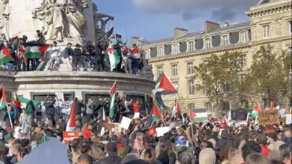 Акция в поддержку Палестины в Париже