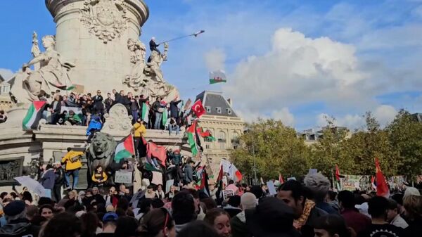 Манифестация политических партий в поддержку Палестины в Париже