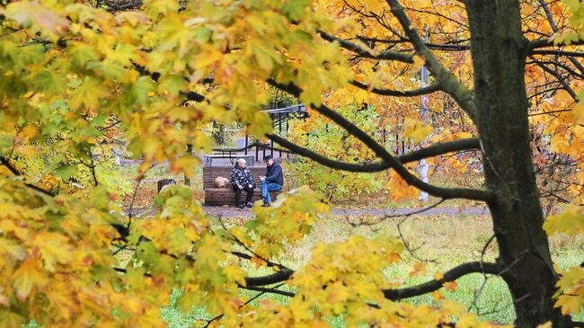 Жители Москвы отдыхают в сквере Жители Москвы отдыхают в сквере