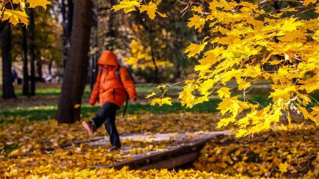 Осень в Москве Осень в Москве
