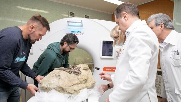 Сотрудники Клинического консультативно-диагностического центра в Кемерово проводят томографическое исследование скелета динозавра-теропода