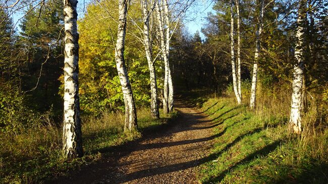 Осенний вечер в Кисловодском парке