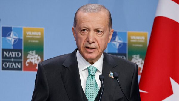 Президент Турции Реджеп Тайип Эрдоган во время пресс-конференции на саммите НАТО в Вильнюсе