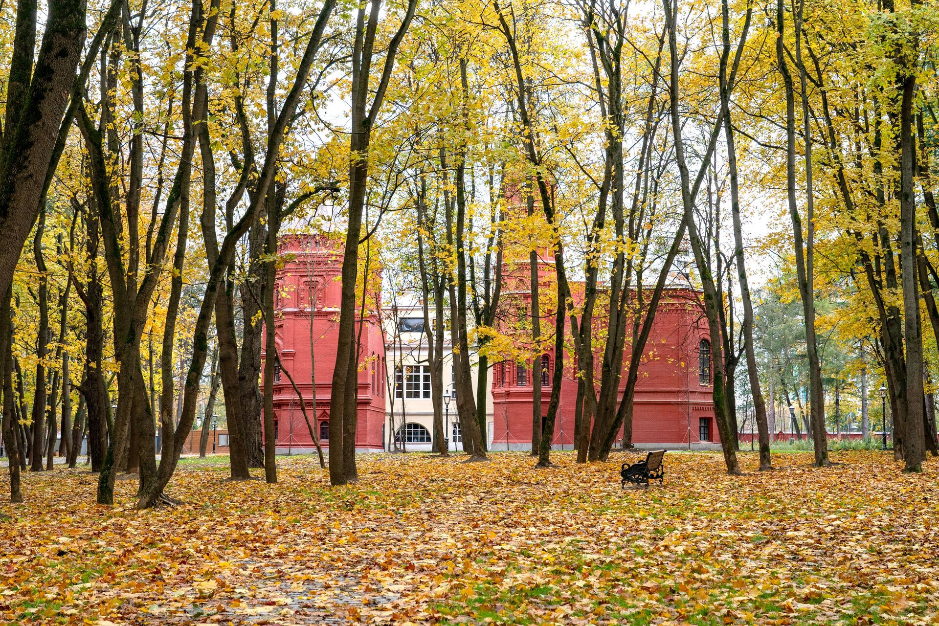 Усадьба в парке Покровское-Стрешнево - РИА Новости, 1920, 24.10.2023