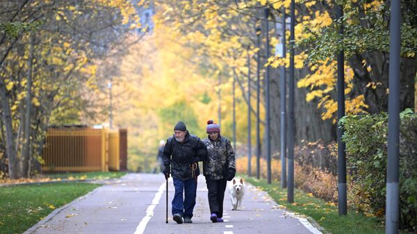 Люди гуляют с собакой по парку в Москве