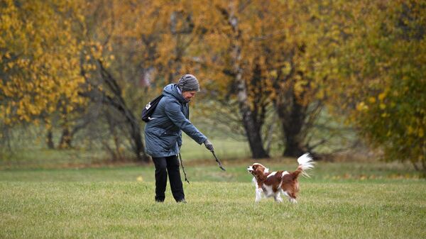 Женщина гуляет с собакой в Коломенском парке в Москве