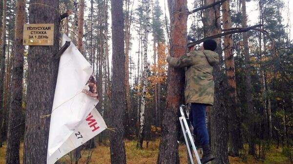 Свыше 130 незаконных объектов рекламы ликвидировали в лесах Подмосковья