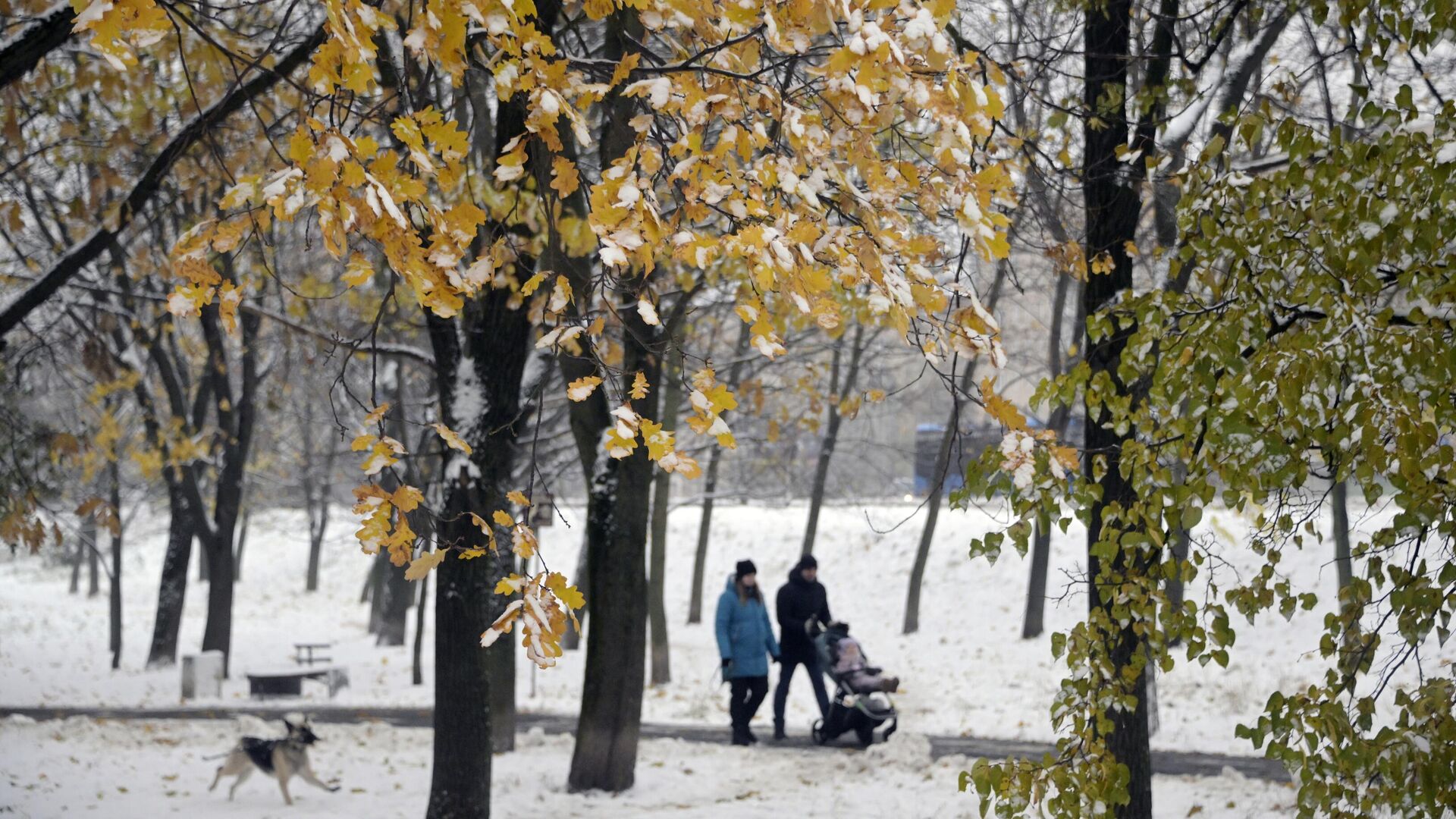 Семья гуляет по парку - РИА Новости, 1920, 24.11.2023