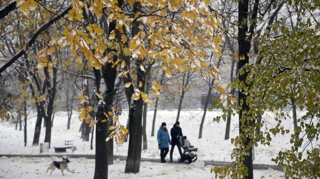 Семья гуляет по парку