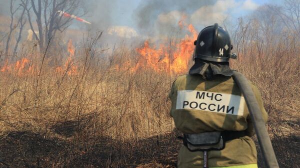 Тушение пожара сухой травы во Владивостоке