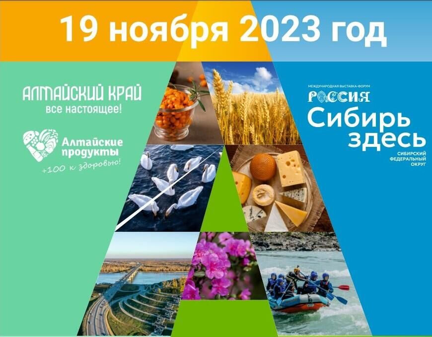 День Алтайского края на выставке Россия - РИА Новости, 1920, 30.10.2023