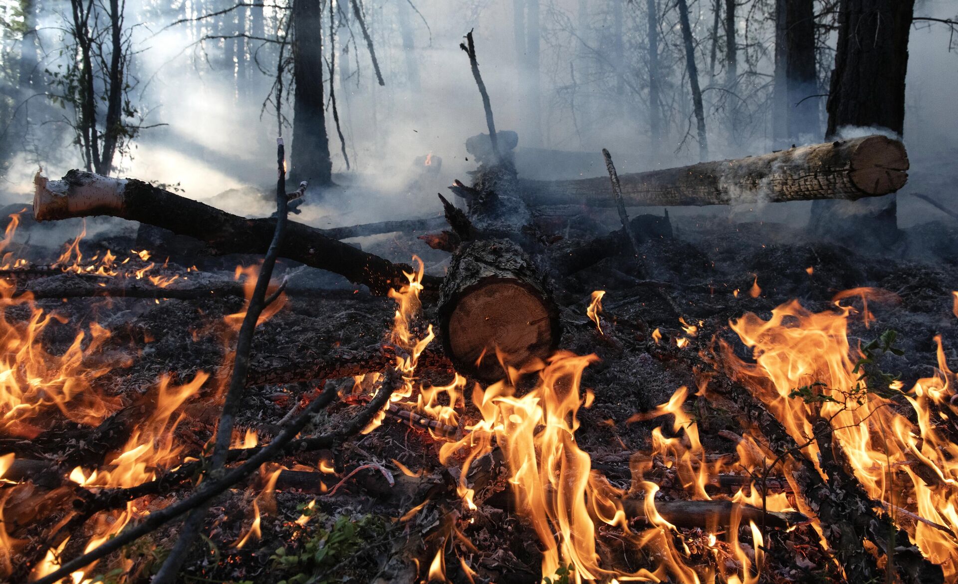 Тушение лесных пожаров в Якутии - РИА Новости, 1920, 12.12.2023