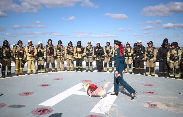 Сотрудники противопожарной службы МЧС РФ после соревнований Высота 102 в Волгоградех