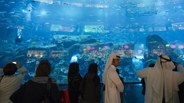 Посетители аквариума в Дубай Сити Молл рассматривают рыб