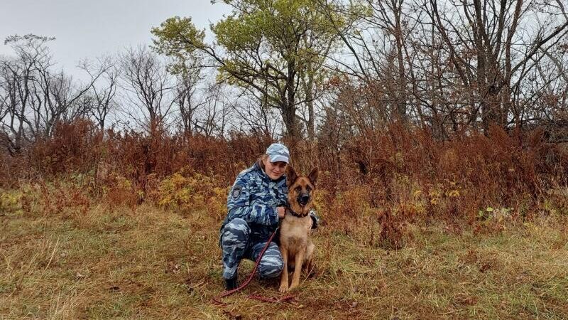 В Фокино Приморского края служебная собака помогла полицейским найти пенсионера, потерявшегося в лесу - РИА Новости, 1920, 01.11.2023