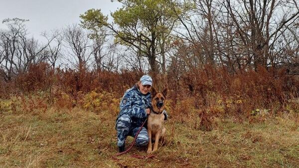 В Фокино Приморского края служебная собака помогла полицейским найти пенсионера, потерявшегося в лесу