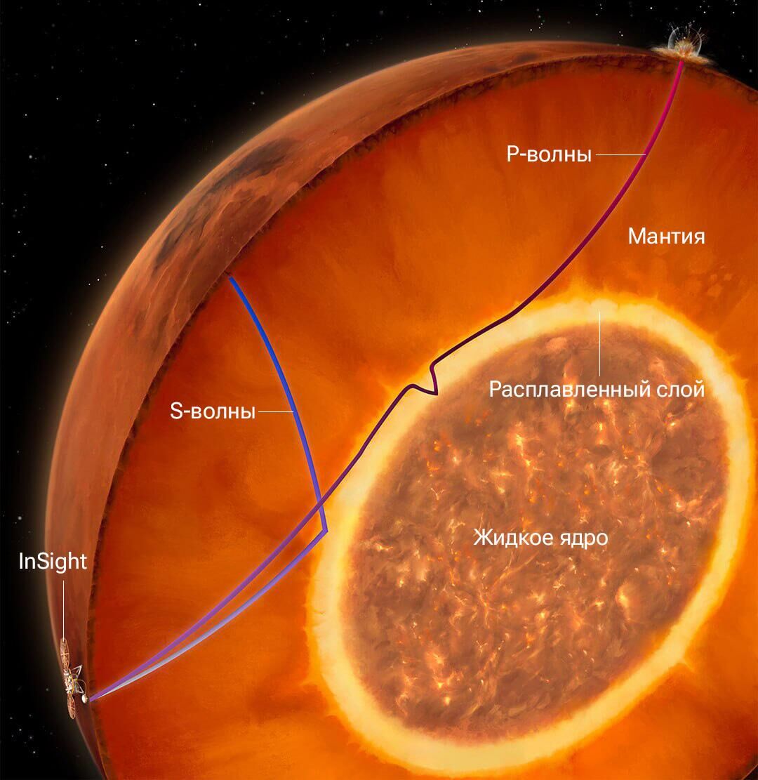 Сейсмические признаки, указывающие на существование расплавленного слоя в основании марсианской мантии: 1) поперечные сейсмические волны (S-волны), вызванные марсотрясениями, проходят через твердую верхнюю мантию, но отражаются от жидкого нижнего слоя; 2) продольные сейсмические волны (Р-волны) от удара метеорита проходят сквозь всю планету, преломляясь в мягком расплавленном слое и отражаясь от плотного ядра. Поперечные волны могут существовать только в твердых телах, поэтому команда InSight первоначально проводила верхнюю границу ядра на уровне их отражения, не предполагая, что базальный слой мантии тоже может быть расплавленным - РИА Новости, 1920, 02.11.2023