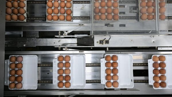 Участок сортировки и упаковки куриных яиц