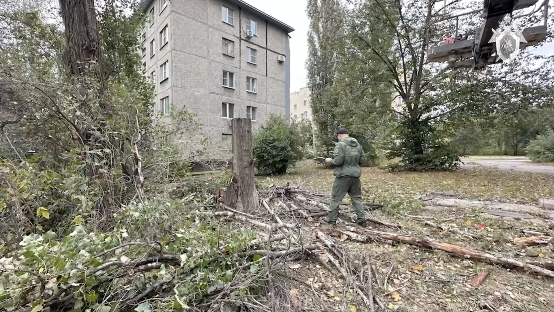 Сотрудник СК на месте происшествия, где в результате порыва ветра на школьницу упало дерево в Липецке. 2 ноября 2023 - РИА Новости, 1920, 02.11.2023