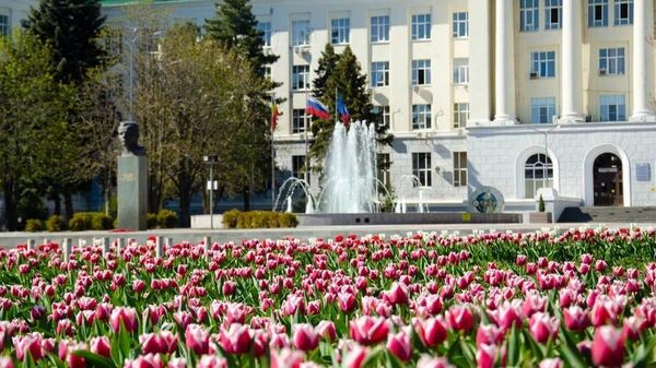 Клумба с тюльпанами возле Технического университета в Ростове-на-Дону