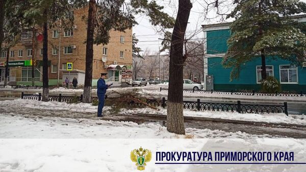 Ликвидация последствий стихии на территории Дальнереченского городского округа в Приморском крае