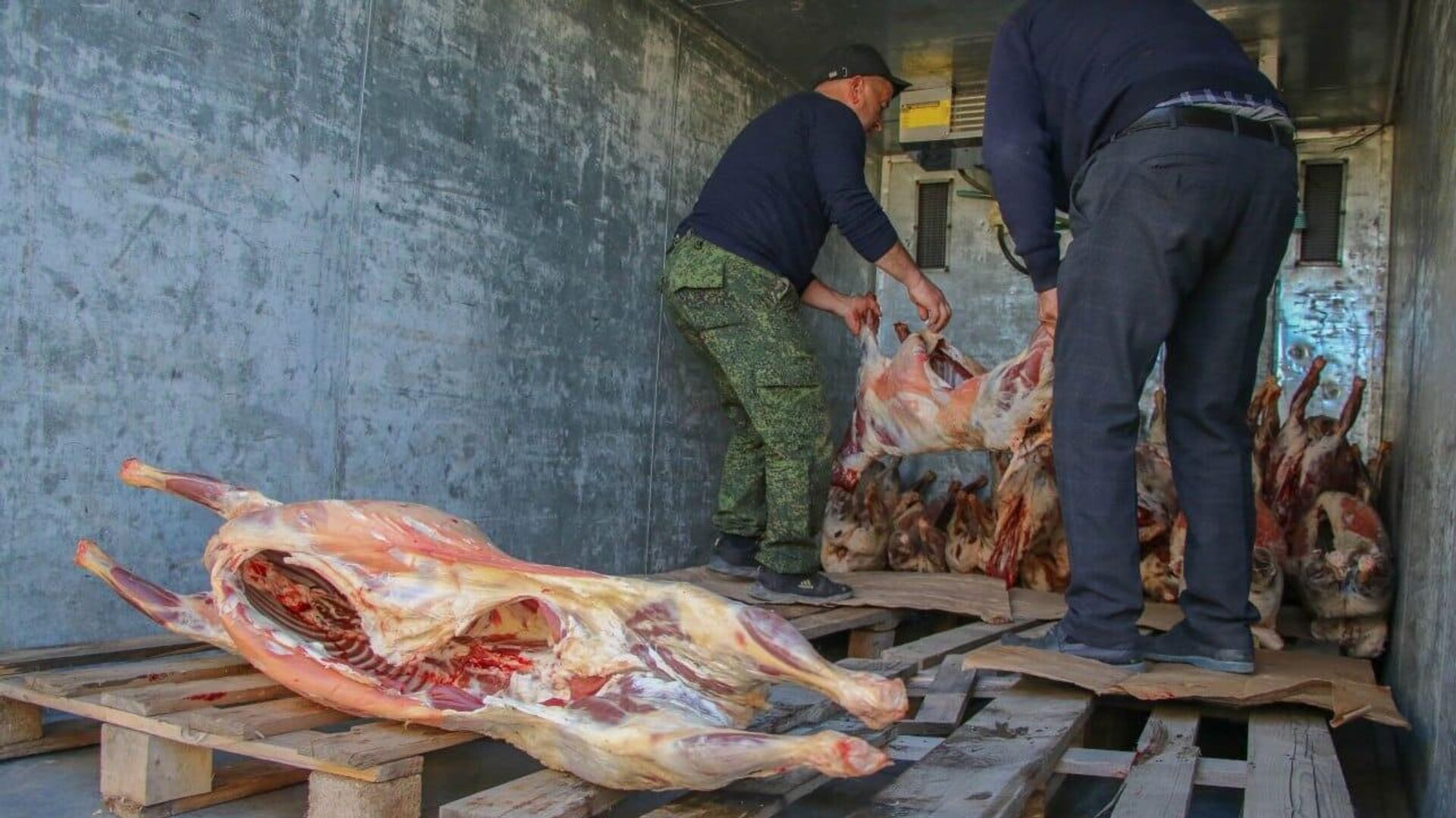 Фермеры из Дагестана отправляют баранину и говядину для бойцов СВО - РИА Новости, 1920, 07.11.2023