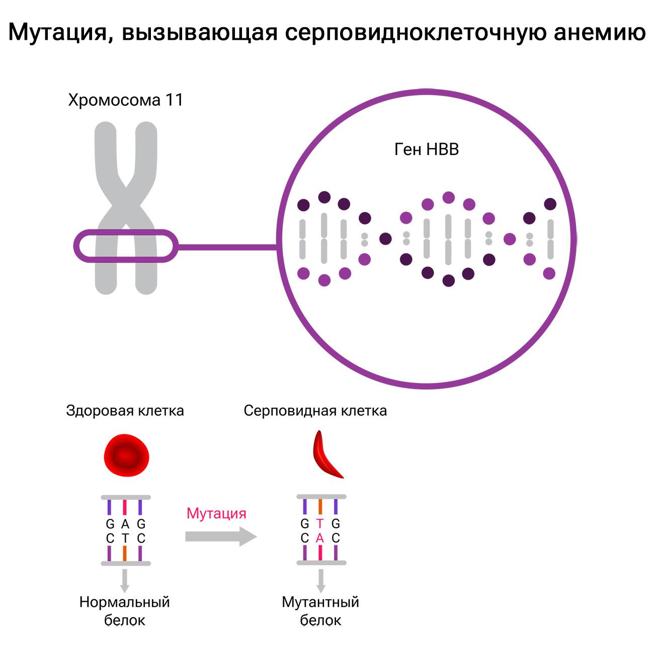 Быстро, дорого. Создан способ вылечить врожденные болезни одной процедурой  - РИА Новости, 10.11.2023