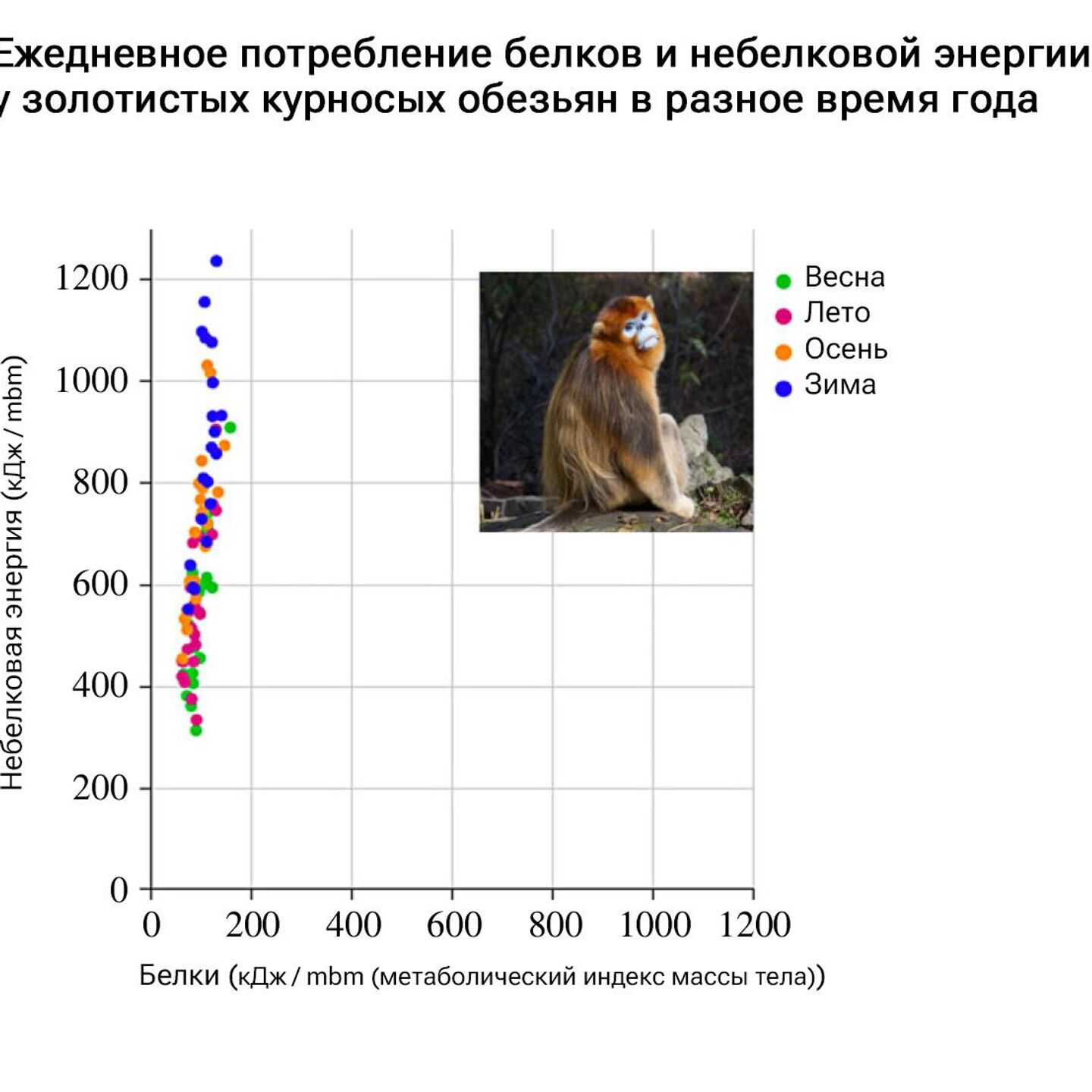 Белковый голод. Названа неожиданная причина набора лишнего веса - РИА  Новости, 12.11.2023