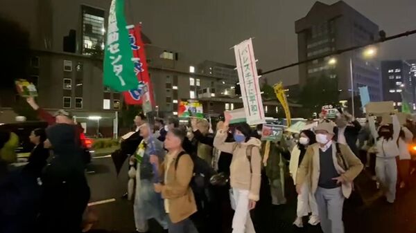 Митинг в поддержку Палестины в центре Токио