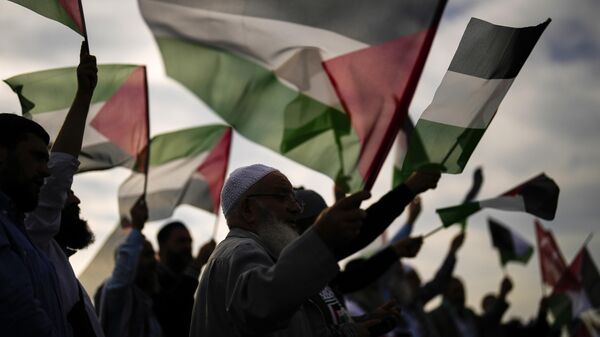 Толпа с Палестинскими флагами