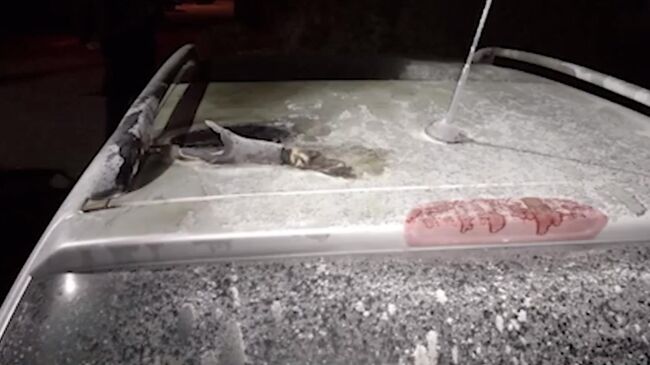 Автомобиль, который подожгла жительница Бреста