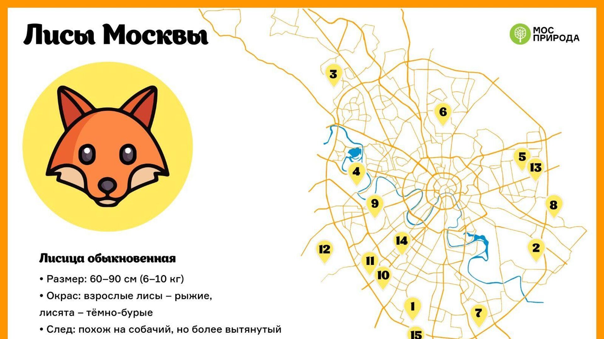 Карта обитания лис в Москве - РИА Новости, 1920, 12.11.2023