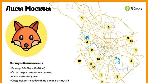 Карта обитания лис в Москве