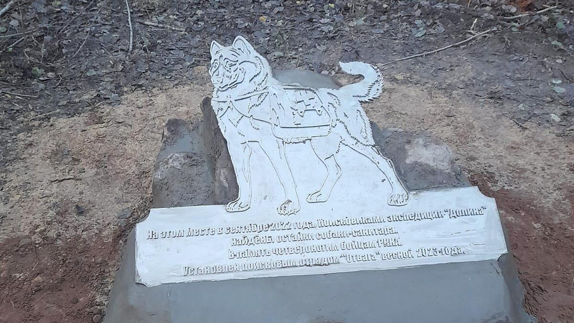 Памятник собаке-санитару в Старорусском районе Новгородской области - РИА Новости, 1920, 13.11.2023