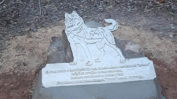 Памятник собаке-санитару в Старорусском районе Новгородской области