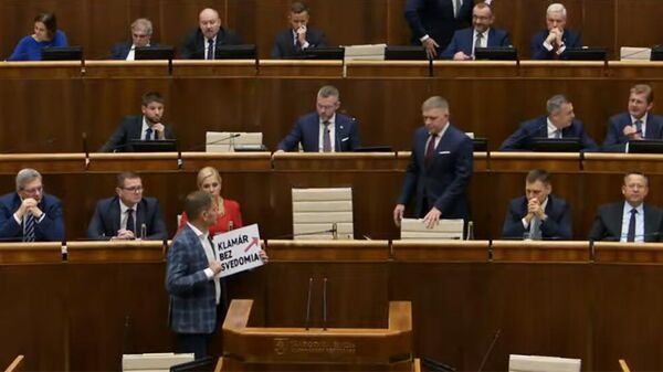 Кадр трансляции заседания парламента Словакии
