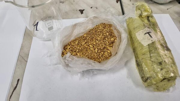 Природное золото, найденное у жителя Амурской области, которое он пытался вывезти из Якутии
